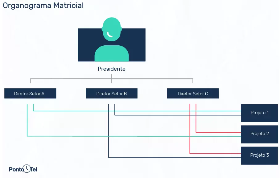 imagem de um organograma matricial