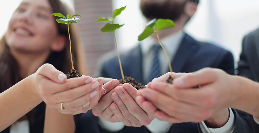 Imagem de Entenda a sustentabilidade no RH e como ela afeta o ambiente organizacional da empresa