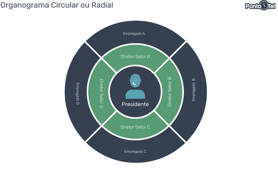 organograma-de-uma-empresa-circular-ou-radial organograma de uma empresa circular ou radial