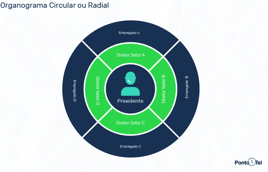 imagem de um organograma circular ou radial
