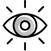 icon-visualização-em-tempo-real PontoTel