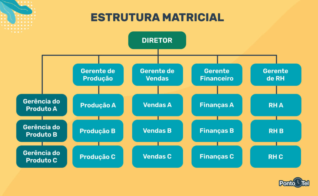 imagem da organização de uma estrutura matricial