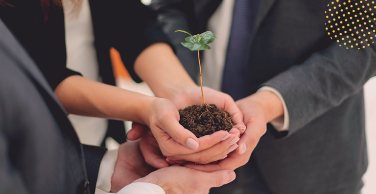 Sustentabilidade nas empresas: veja o motivo para sua empresa implementar!